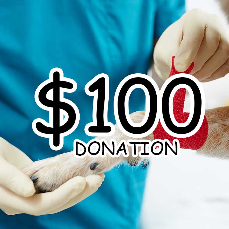 $100 Hand in Paw Donation