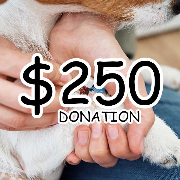 $250 Hand in Paw Donation
