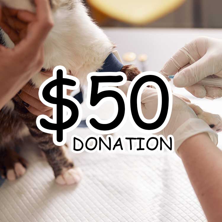 $50 Hand in Paw Donation