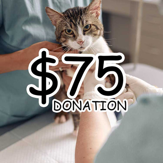 $75 Hand in Paw Donation